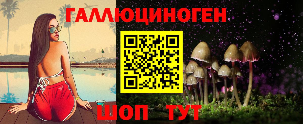 Прокопьевск  Галлюциногенные грибы прущие грибы  Вход с VPN 